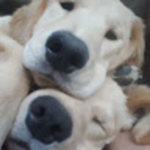 Meet your Posher, Sonya